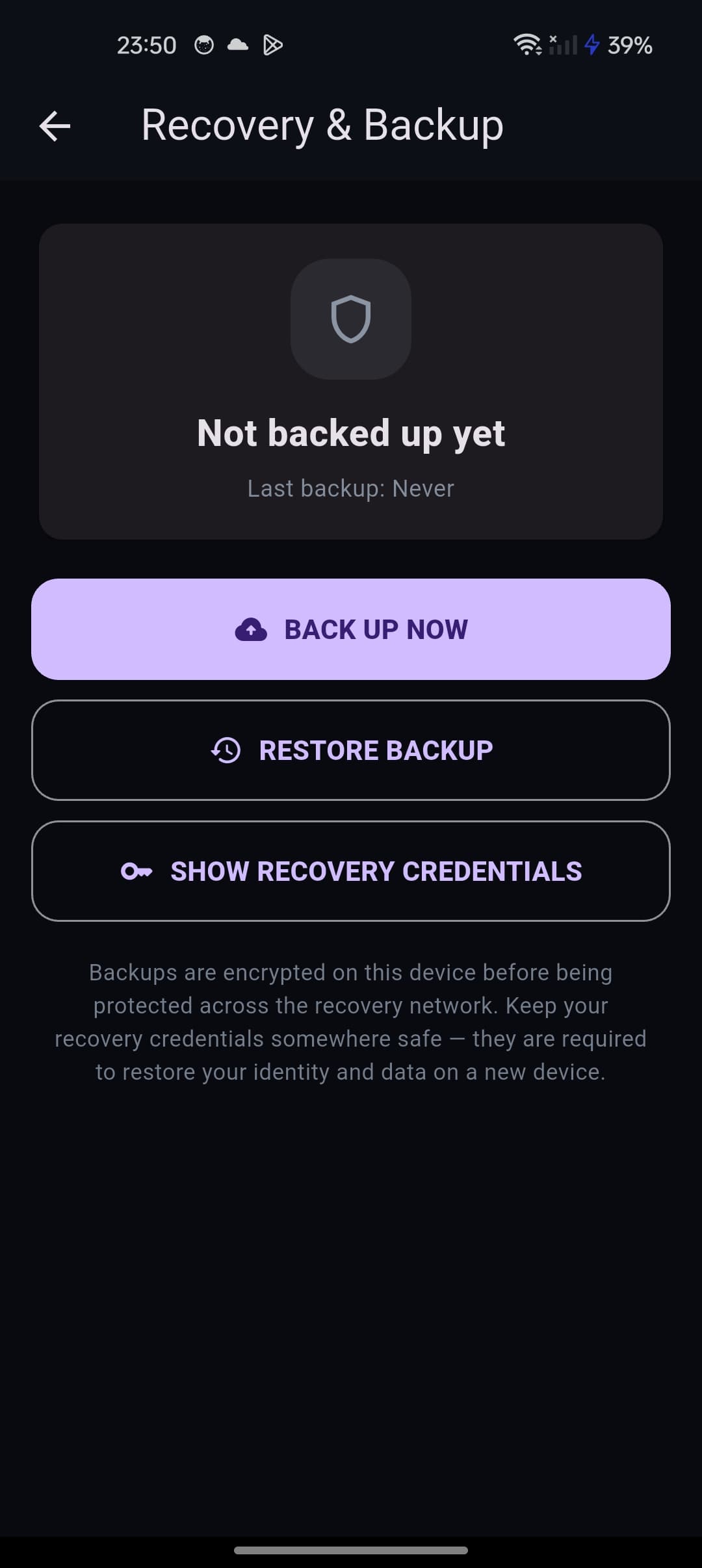 dmsg encrypted recovery screen